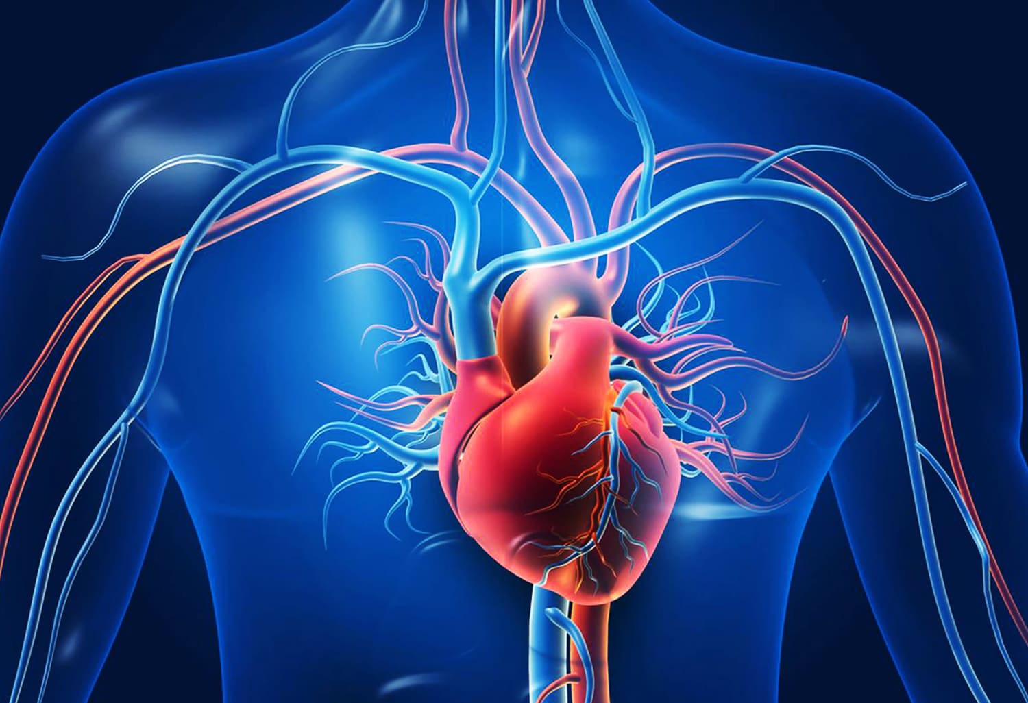Wet Cupping Batam A Professional Wet Cupping Therapy for Diabetes Heart and Kidney